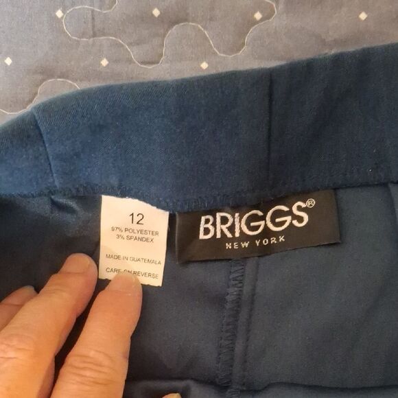 Briggs Blue Pants size 12 - Picture 3 of 6